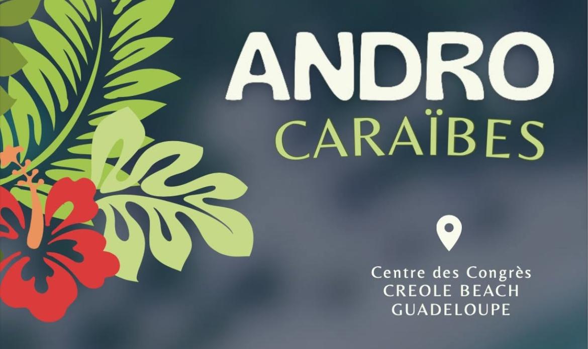 Andro Caraïbes : 1er congrès international caraïbéen dédié à la santé reproductive de l’homme