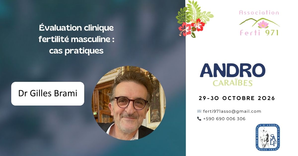 VISUEL Newsletter 12 Gilles BRAMI